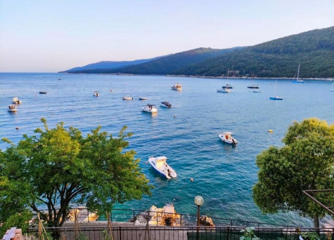 Seafront 2-bedroom Nika - Rabac